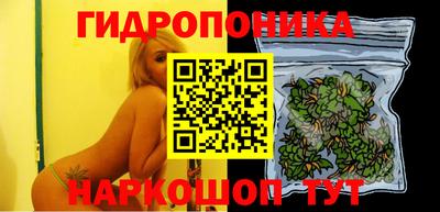 дживик Пенза