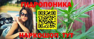 дживик Пенза