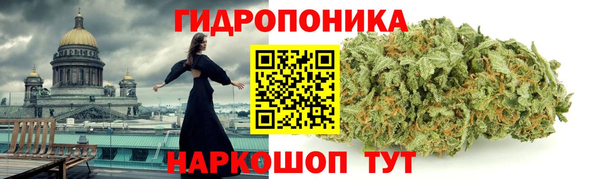 Марихуана семена  Шишки марихуана MAZAR  Вход с VPN  Евпатория  Шишки марихуана сатива  МАРИХУАНА ГИДРОПОН 